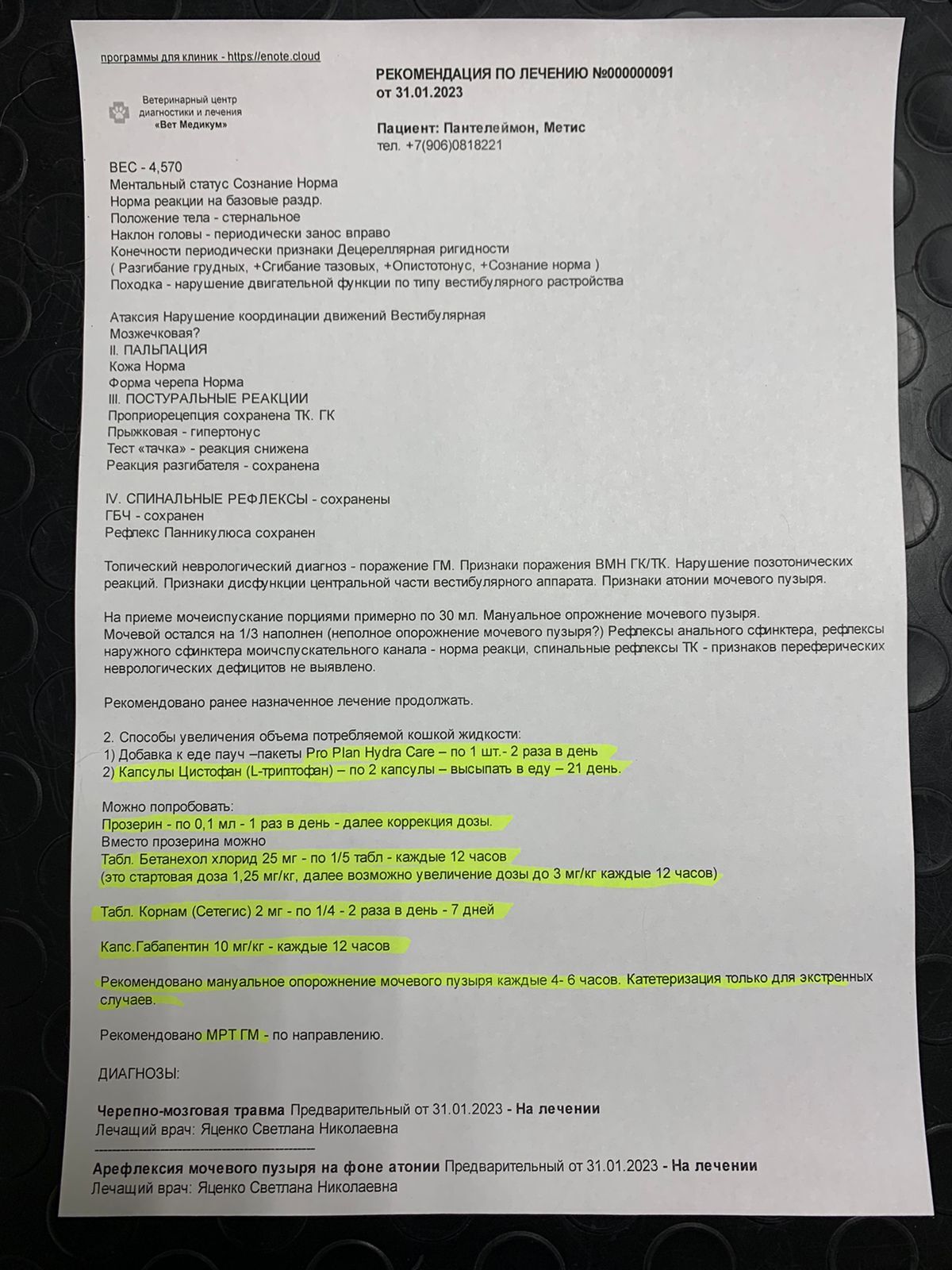 продолжение поста sos. очень нужна помощь пикабу. продолжение поста sos. очень нужна помощь пост пикабушника irinakos