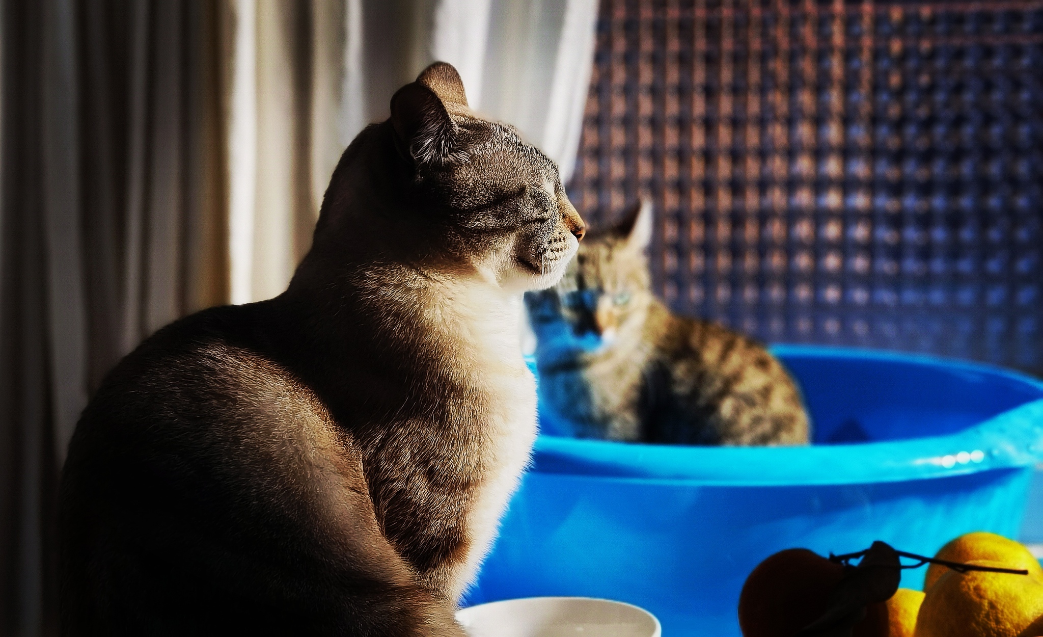 Пока солнышко пригревает | Пикабу