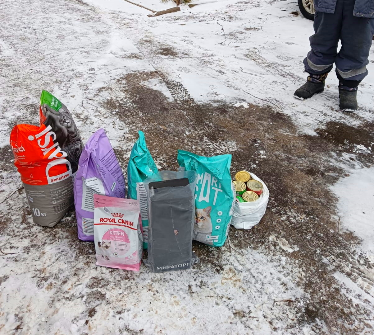 Отчет о поездке в Павлово - раздача корма для кошек, стерилизация и планы.  Огромная благодарность всем, кто помогал | Пикабу