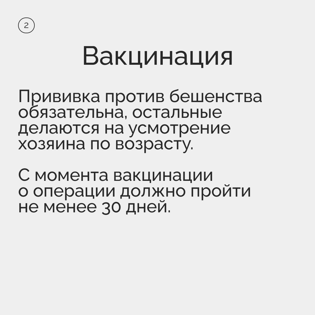 Подготовка домашнего животного к стерилизации | Пикабу