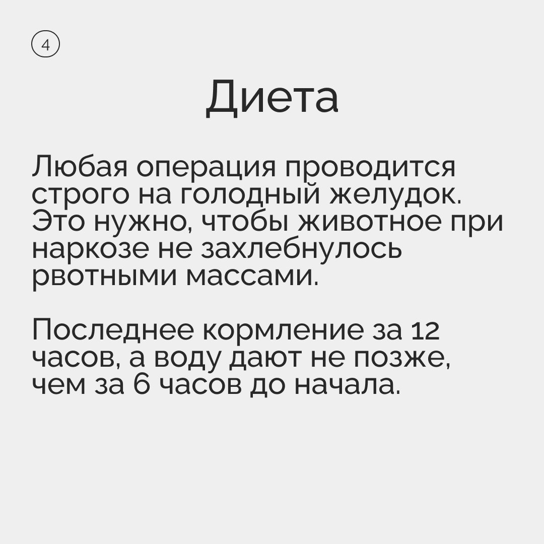 Подготовка домашнего животного к стерилизации | Пикабу