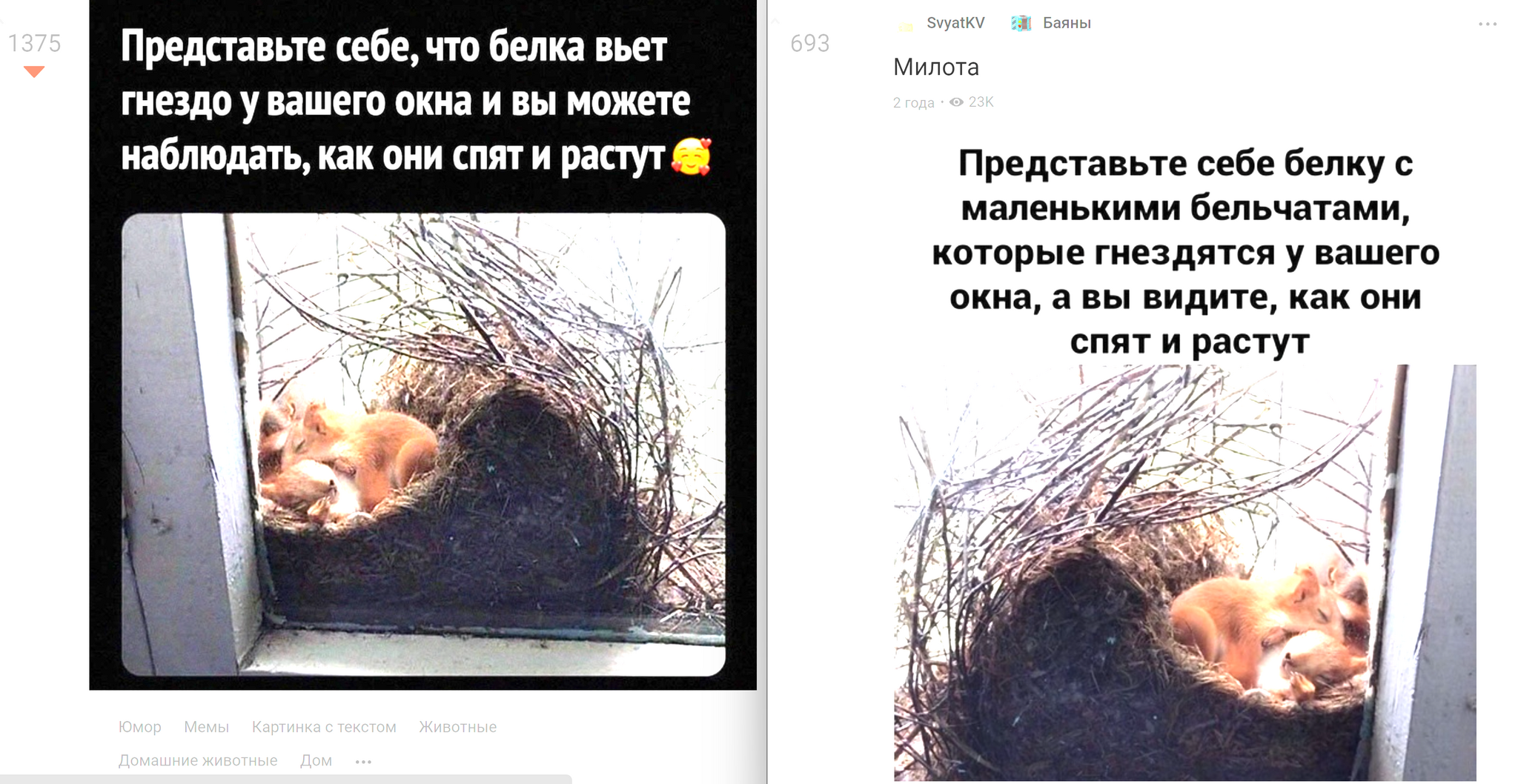 Не баян, модератор разрешил! | Пикабу