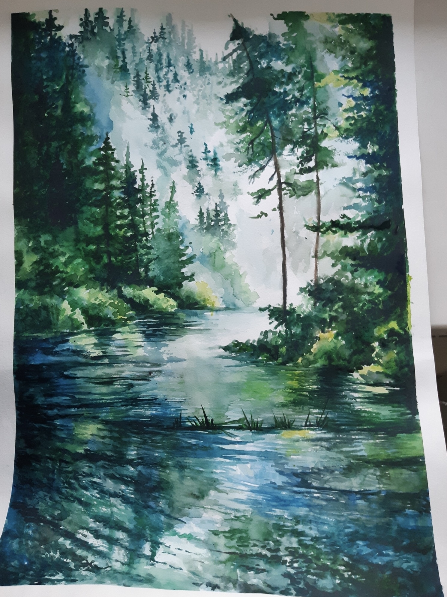 Туманные леса Японии | Пикабу