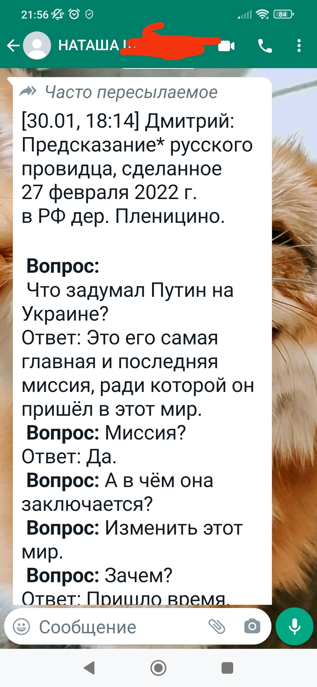 Я думала, что те, кто пересылает такие сообщения вымерли... А нет, бред он  в любой ситуации бред | Пикабу