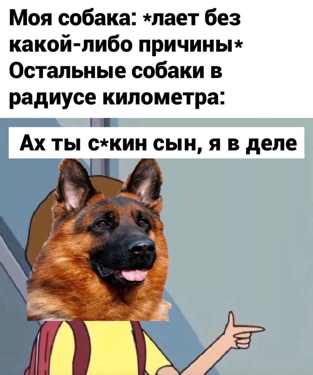 Смешная Шутка 2024