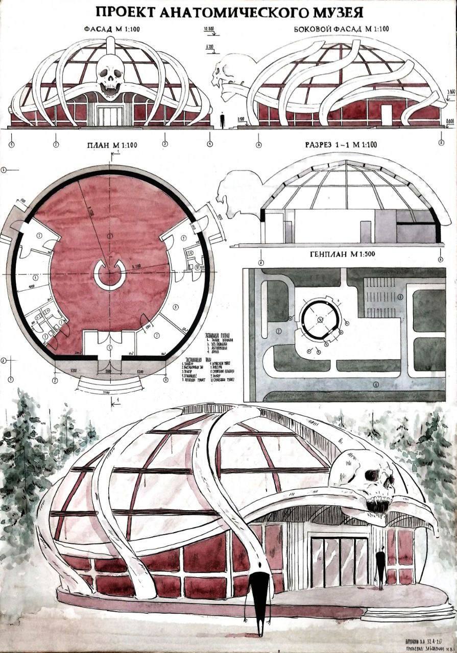 Проект анатомического музея | Пикабу