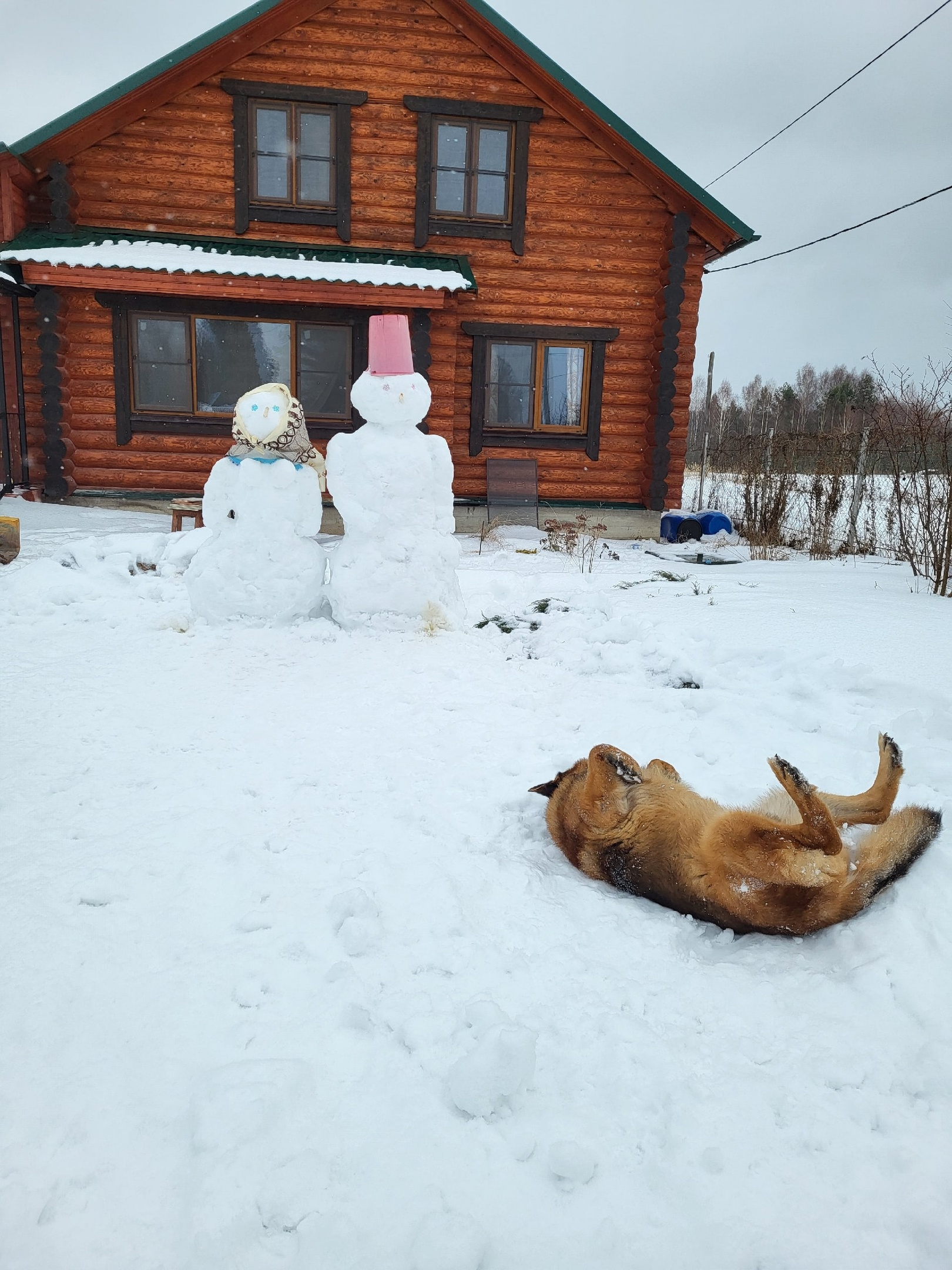 хорошее настроение чтобы сидеть дома (99) фото