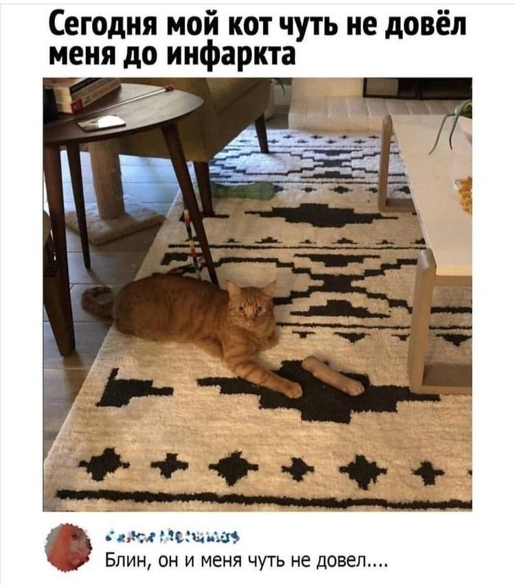 1676430940153055546.jpg
