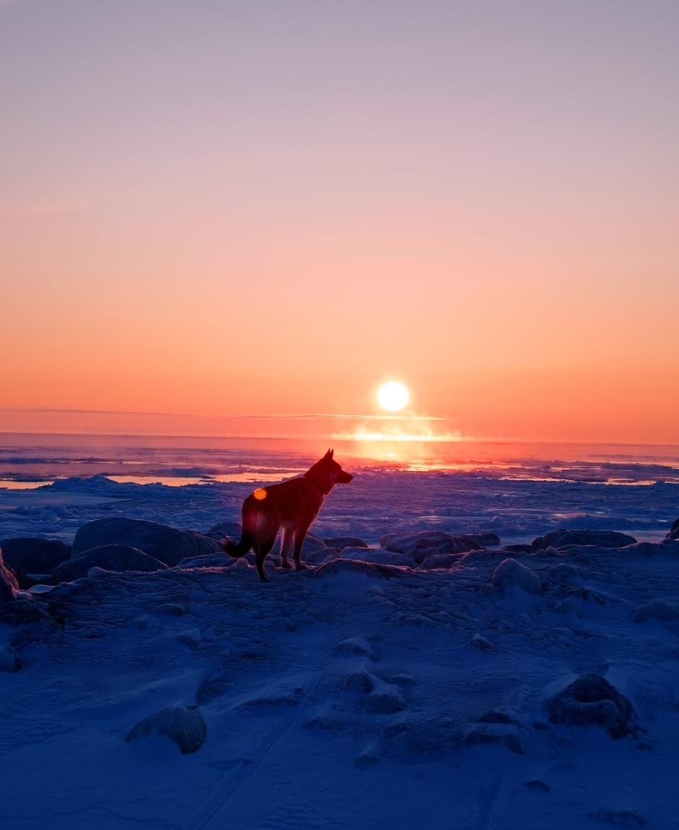 Восход на Сахалине | Пикабу