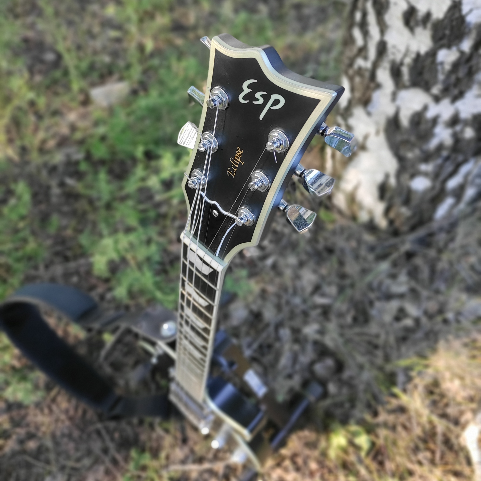 ESP eclipse | Пикабу