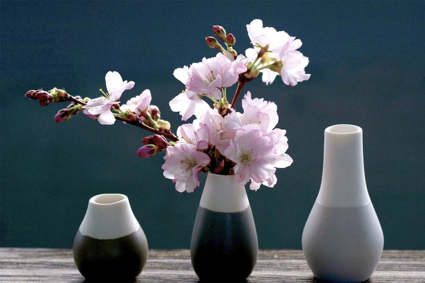 Безотходная обрезка сада, или Неожиданная польза срезанных веток | Пикабу