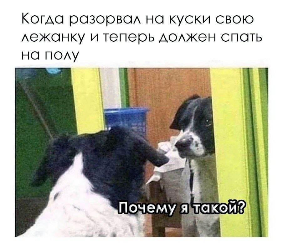 Грусть | Пикабу