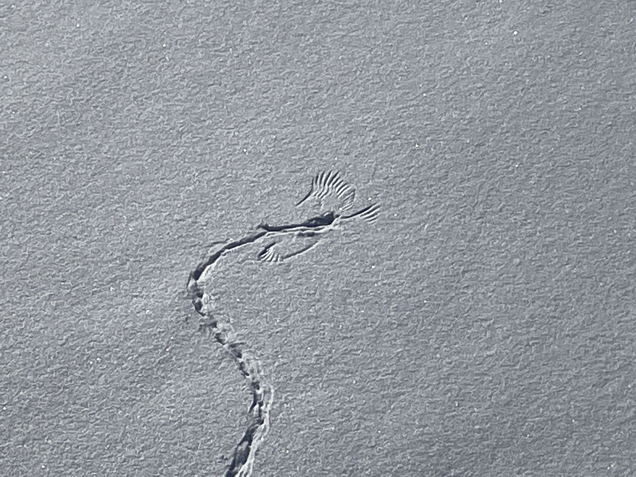 Загадочная загадка | Пикабу