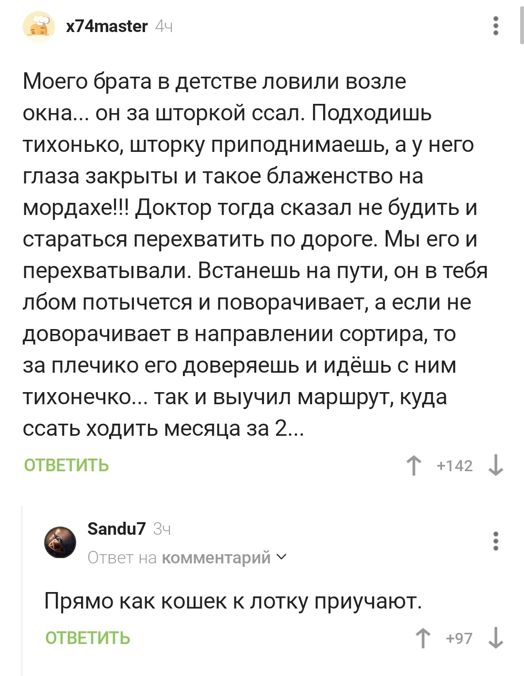 Братик-котик | Пикабу