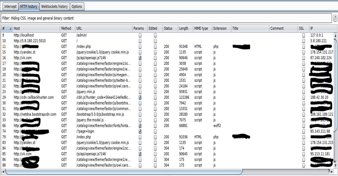 Burp Suite - удобный инструмент для проведения атак на веб-приложения |  Пикабу