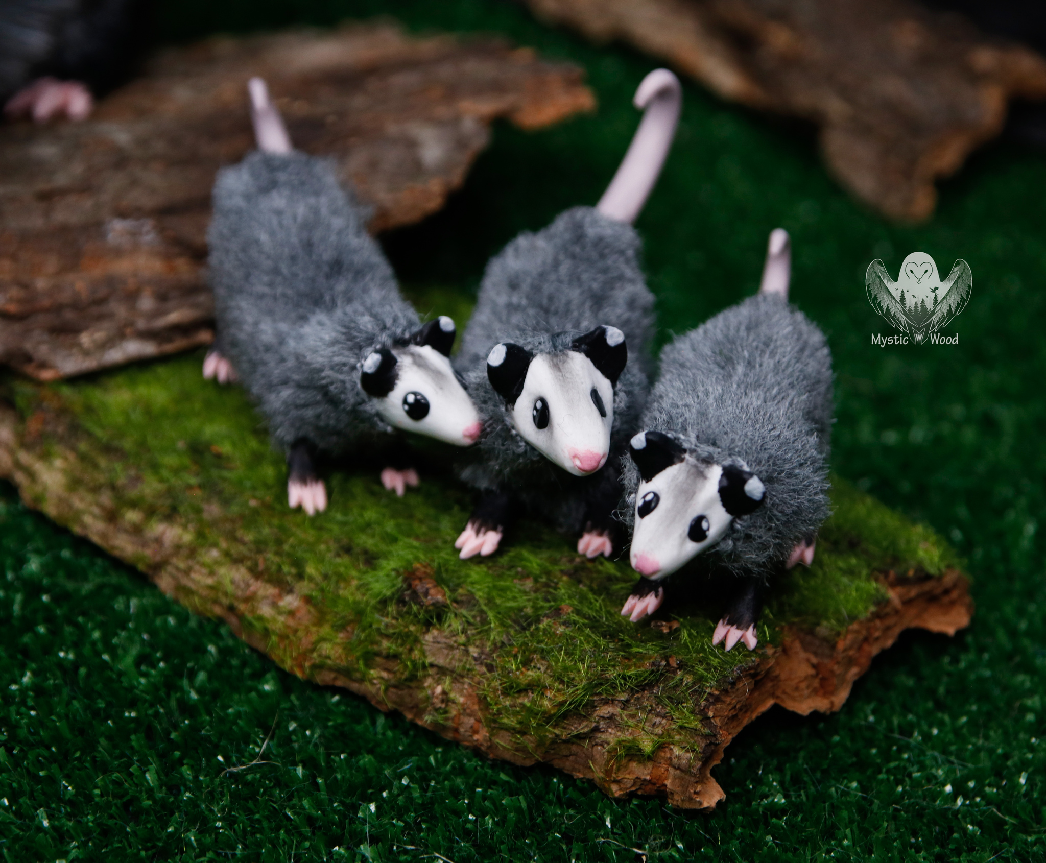 Семья опоссумов | Пикабу