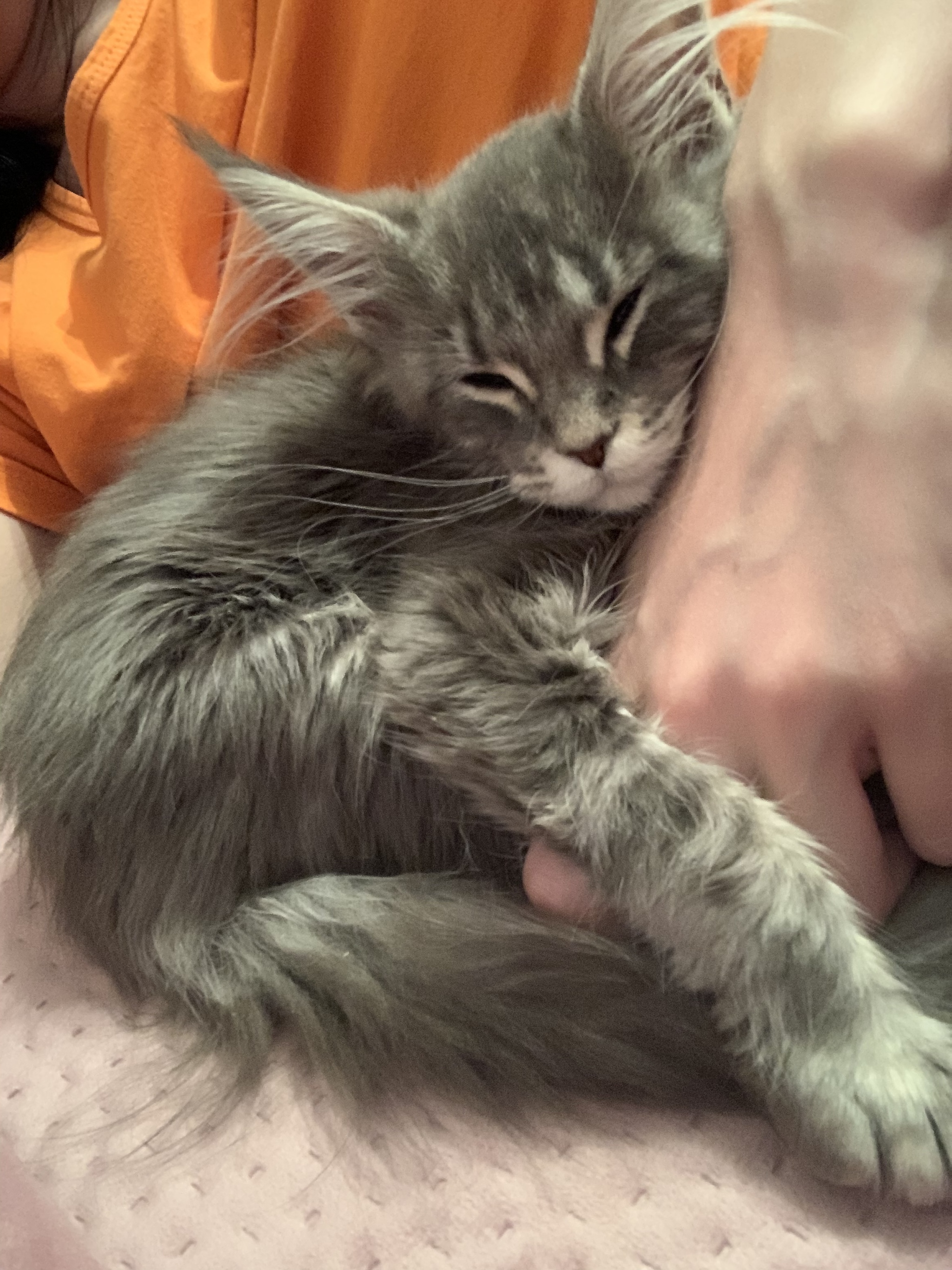 Помогите с диагнозом | Пикабу