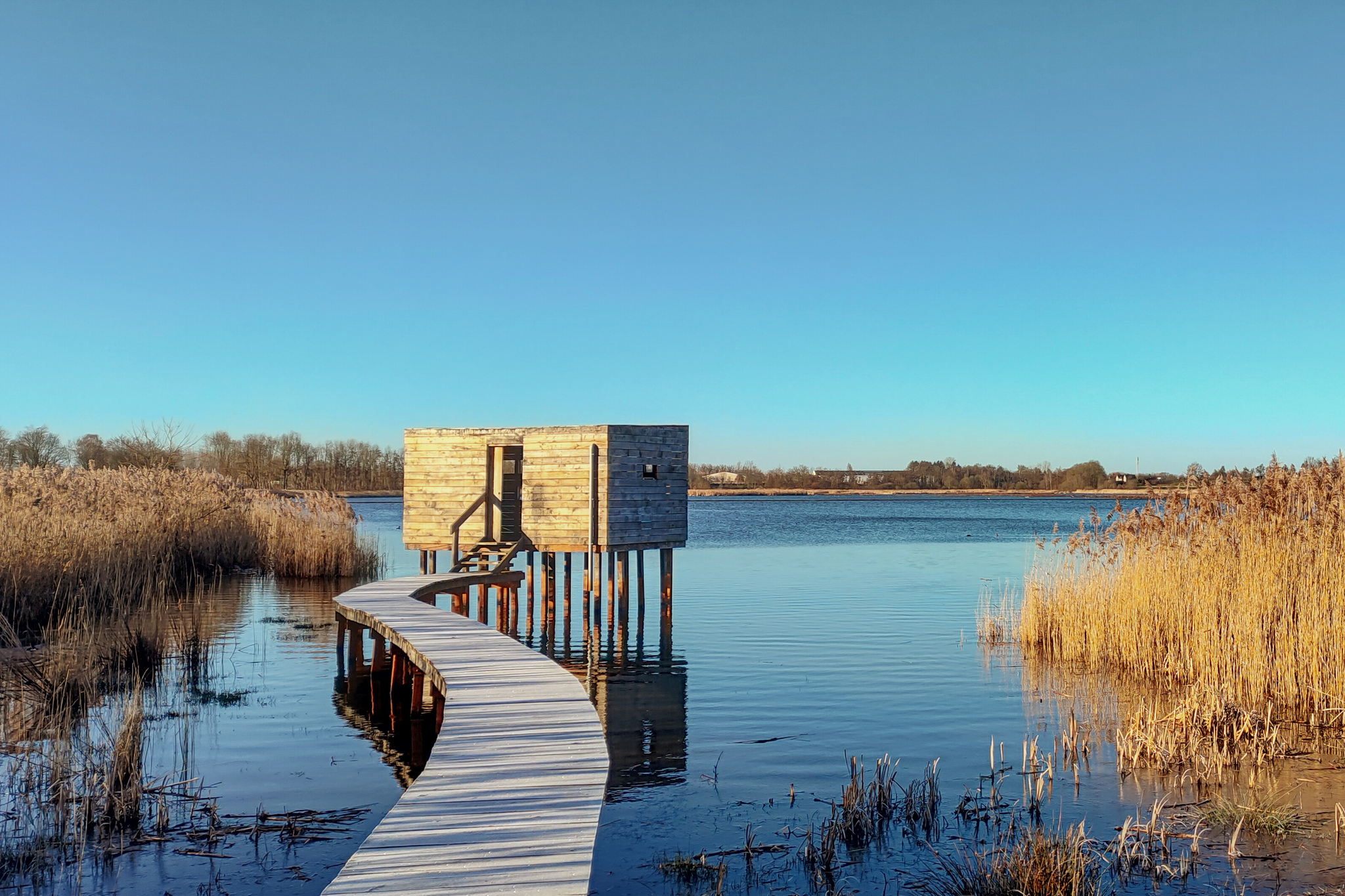 Утренняя пробежка | Пикабу