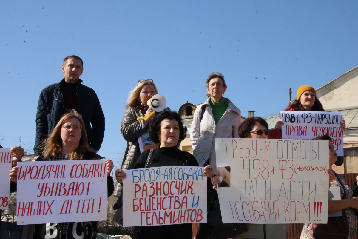 Митинг против бродячих собак прошел в Астрахани | Пикабу