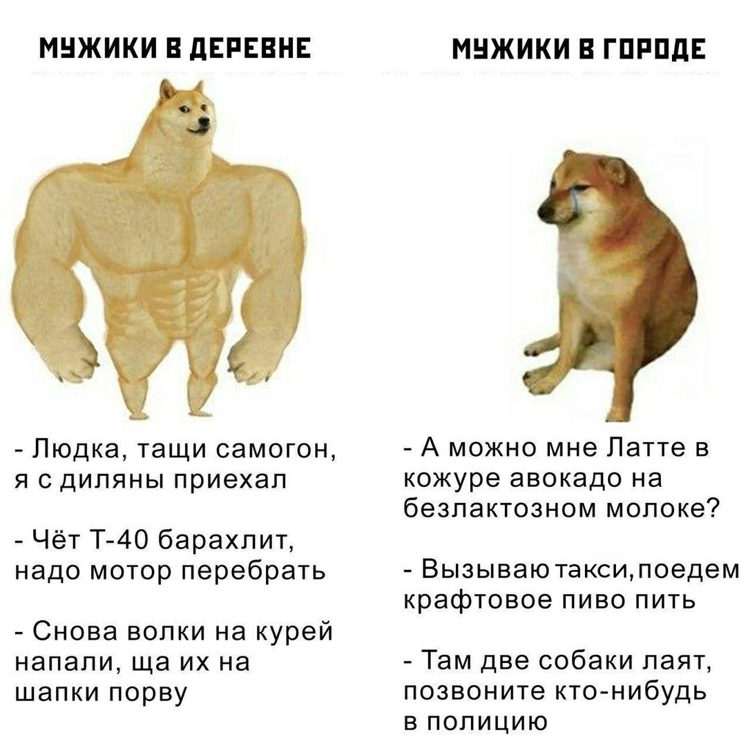 Мужики | Пикабу