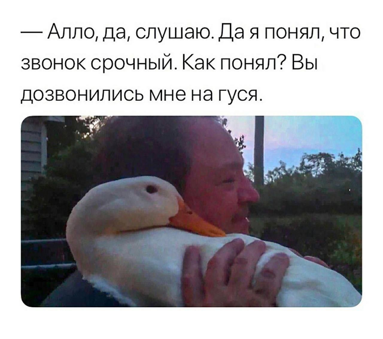 Алло | Пикабу