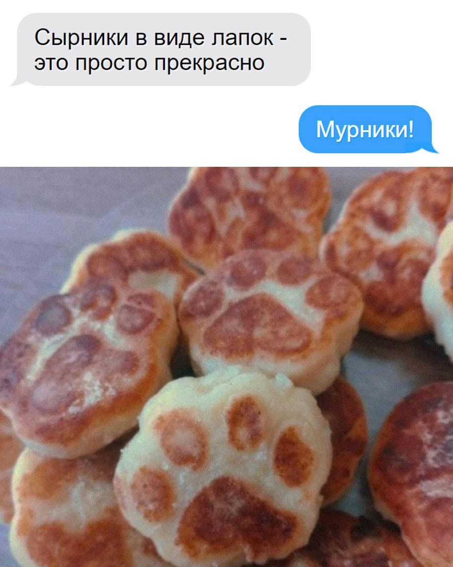 Мурники или мяукальники? | Пикабу