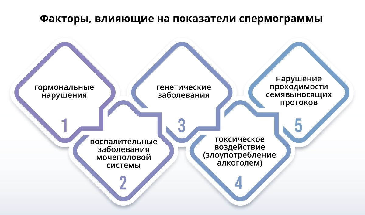 Спермограмма. Зачем нужен этот анализ? | Пикабу