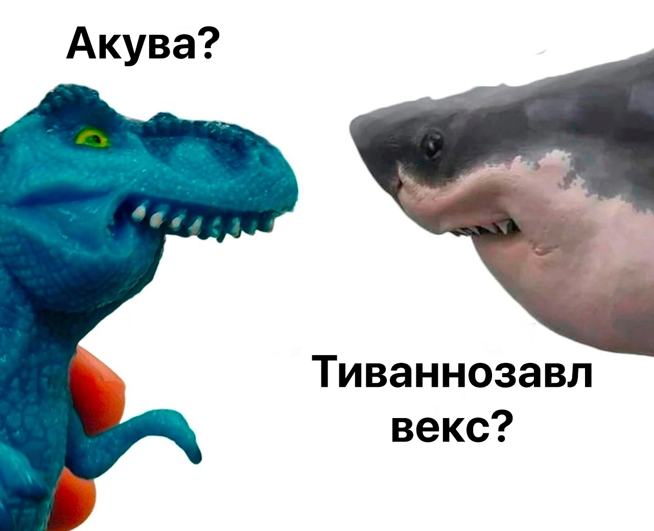 Фто? | Пикабу