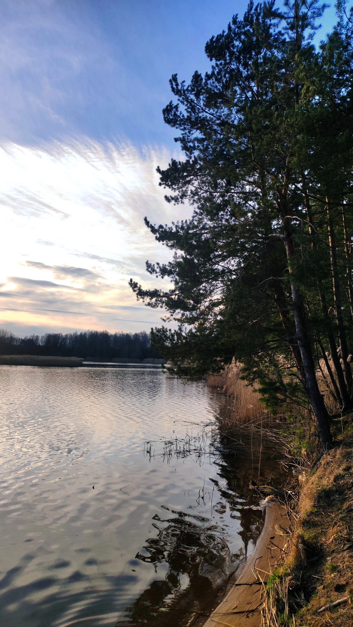 Новоселковсеое водохранилище г.п Новоельня. Дятловский район Гродненская  область | Пикабу