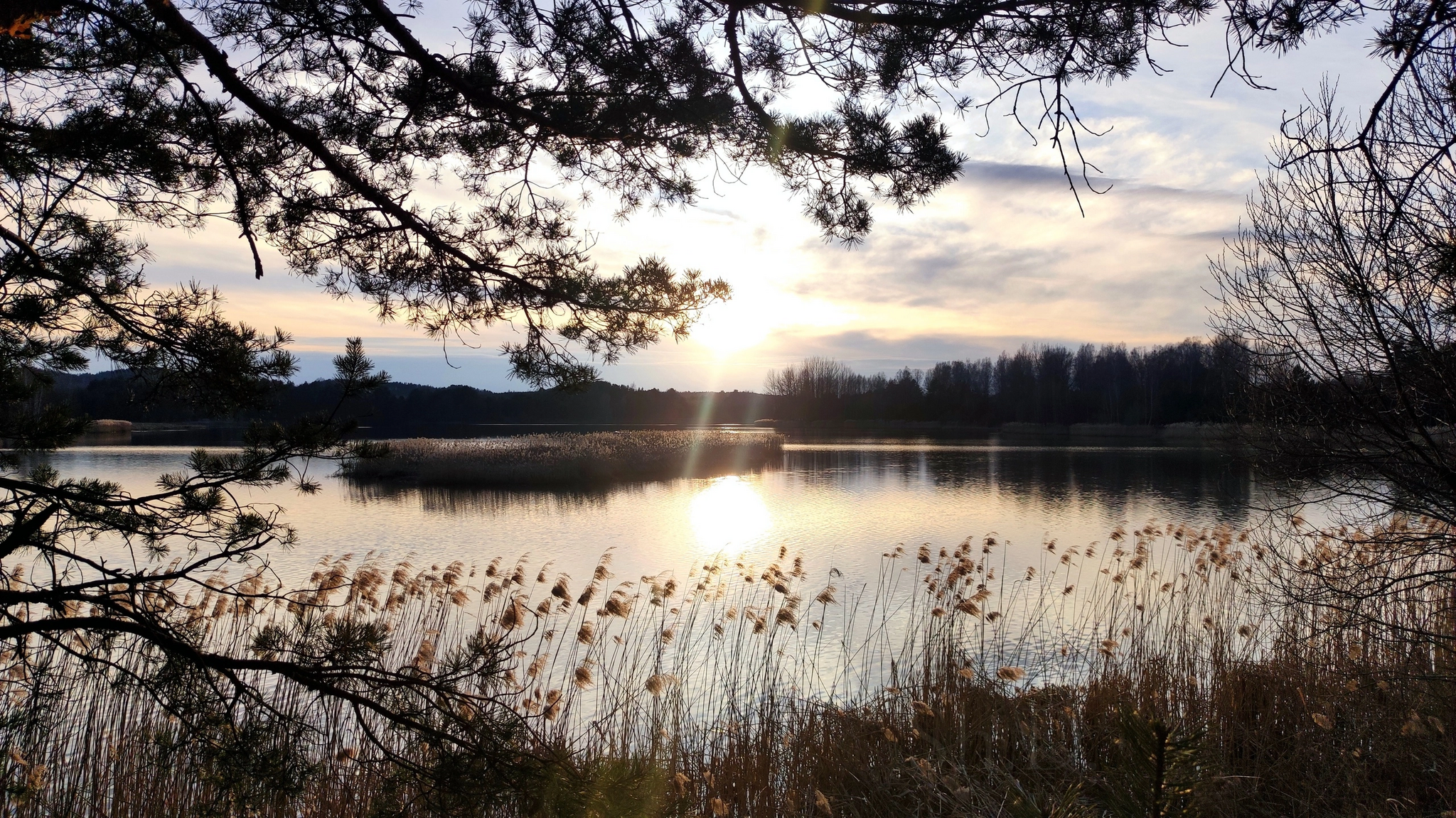 Новоселковсеое водохранилище г.п Новоельня. Дятловский район Гродненская  область | Пикабу