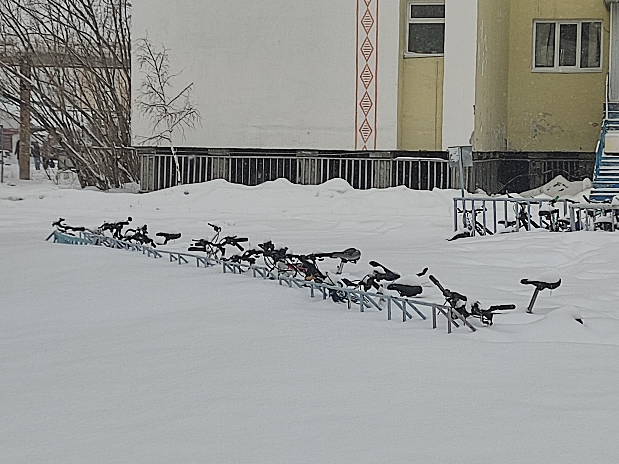 Велосипеды в спячке | Пикабу