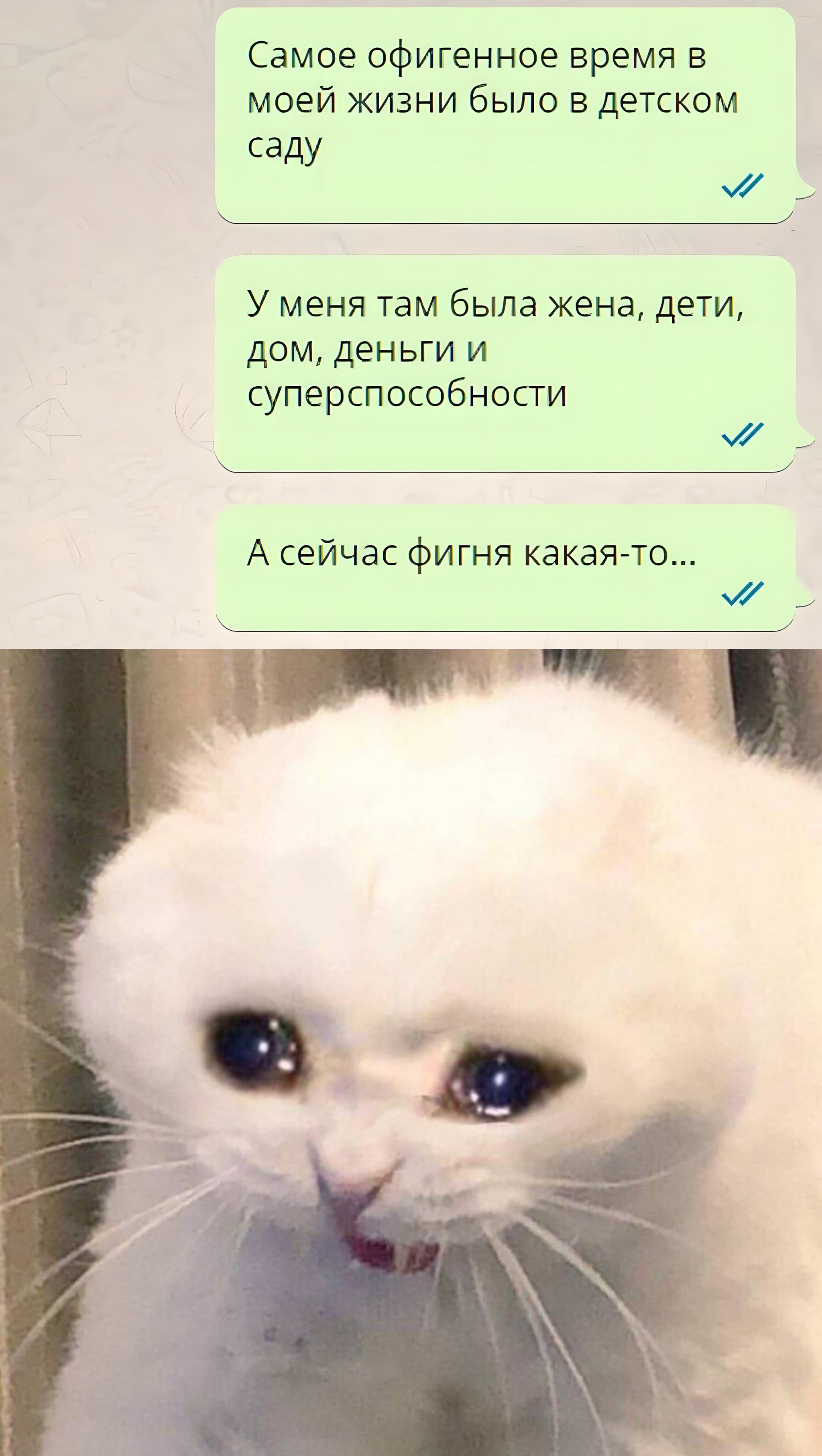 грустный котик картинки плачущий