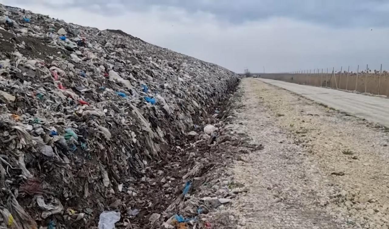 Сотрудники магазина «ЖизньМарт» в Челябинске зарыли отходы в детском саду. Видео