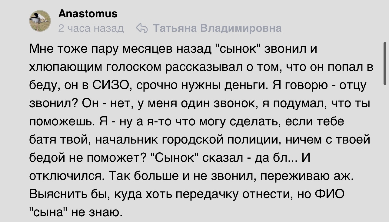 Сынок | Пикабу