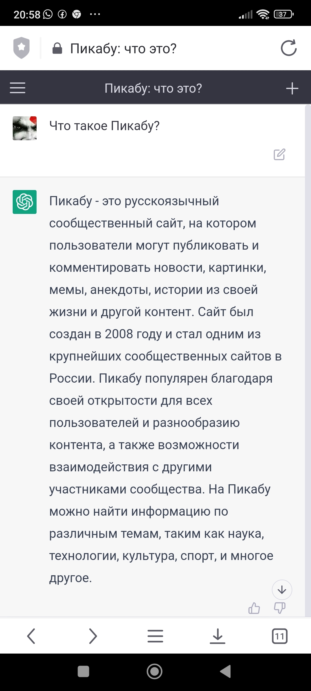 Спросил у нейросети, что такое Пикабу | Пикабу