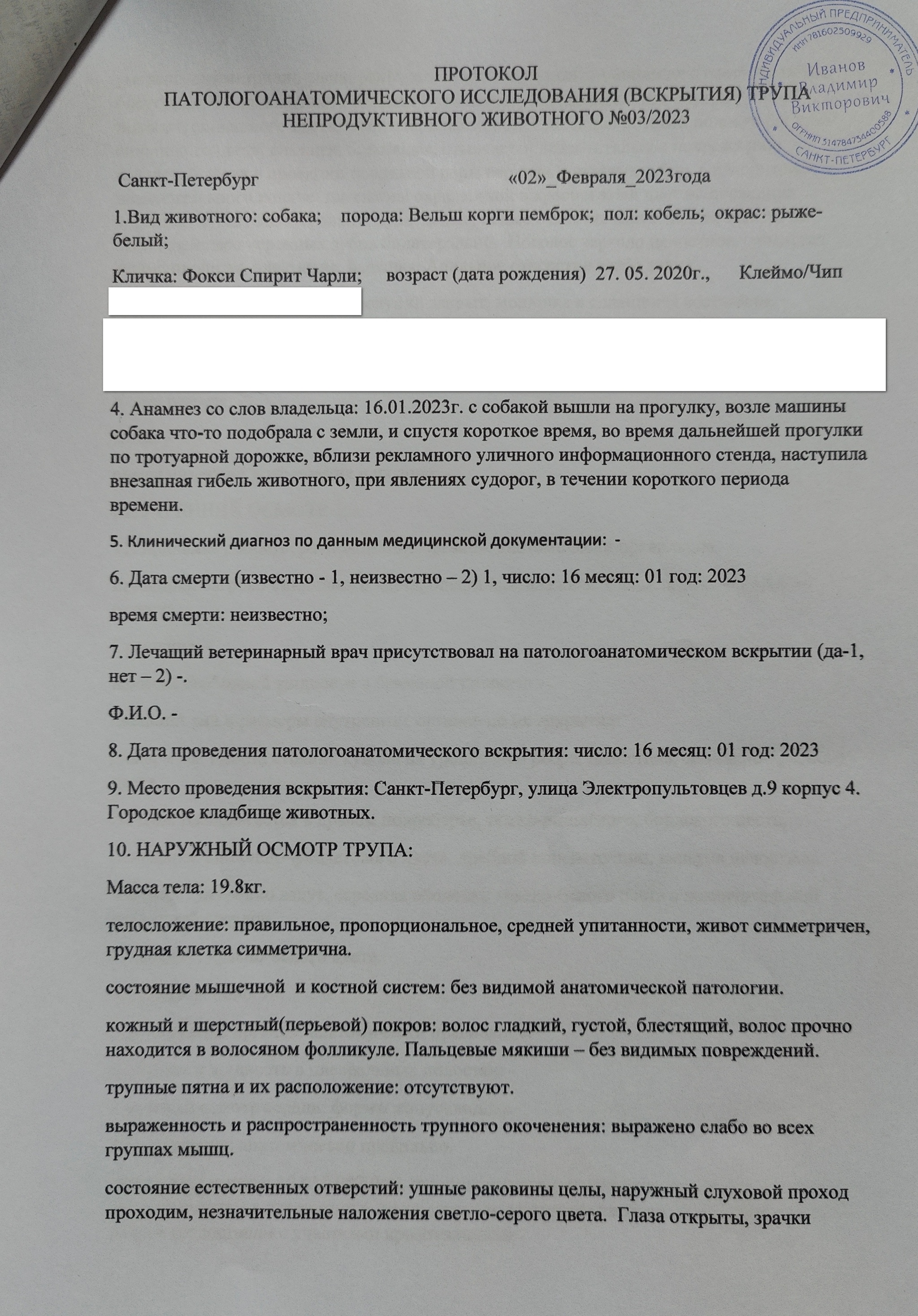 Продолжение поста «Моя собака погибла от удара током у рекламной  конструкции» | Пикабу