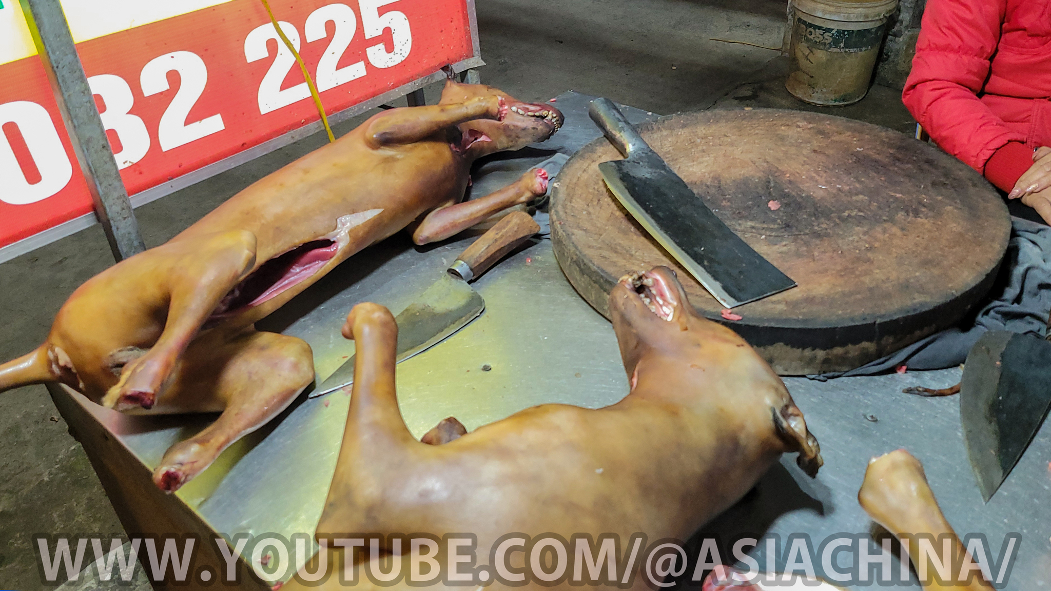 Рынок Собак во Вьетнаме Ханой 2023 | Пикабу