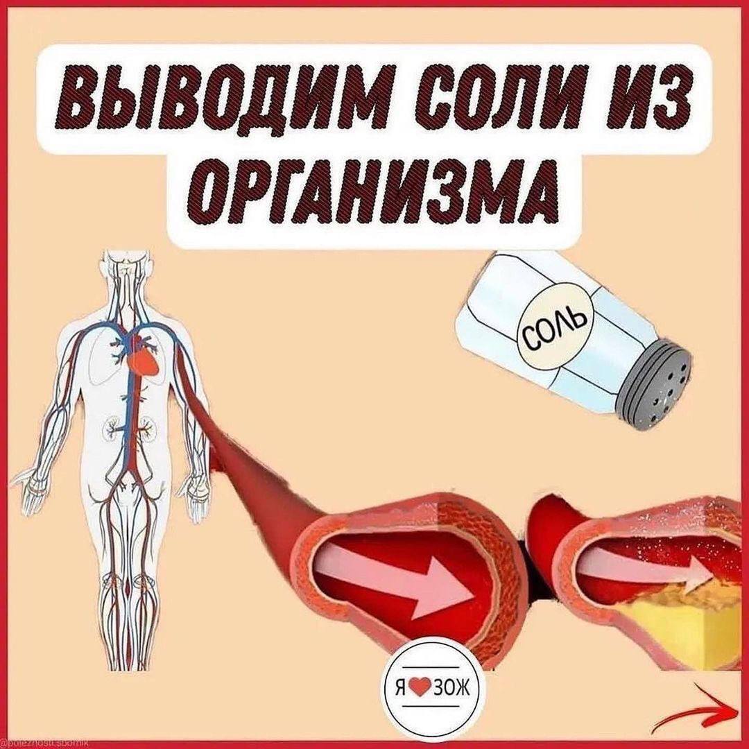 ВЫВОДИМ СОЛИ ИЗ ОРГАНИЗМА !!! | Пикабу