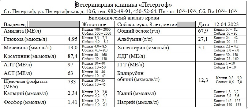 У собаки неустойчивый стул