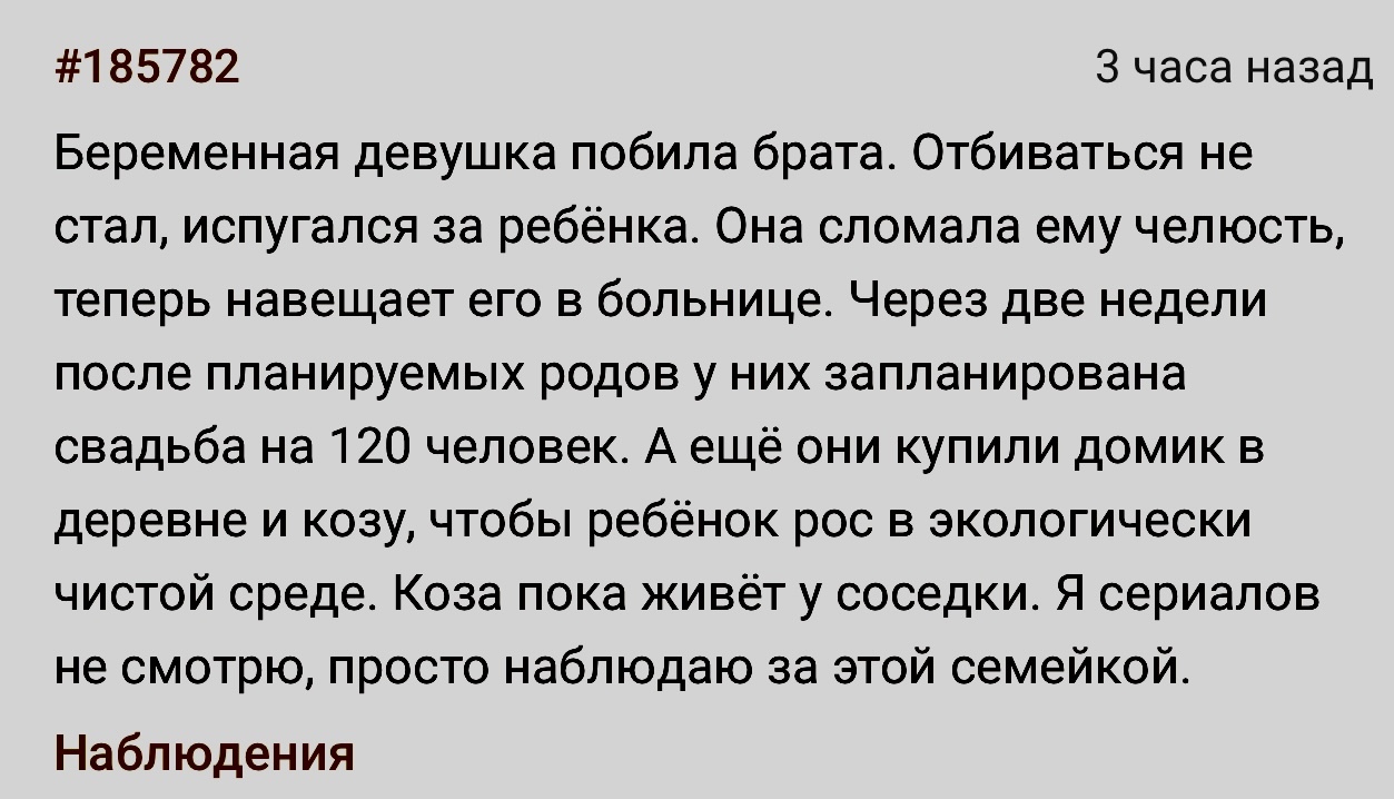 Развлекаются, как умеют | Пикабу