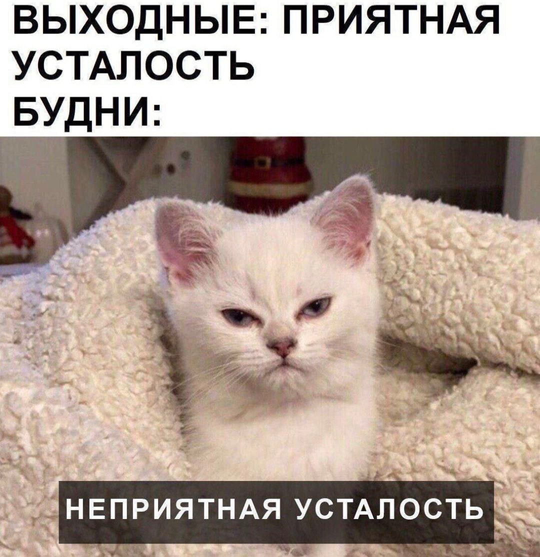 Типы усталости: | Пикабу