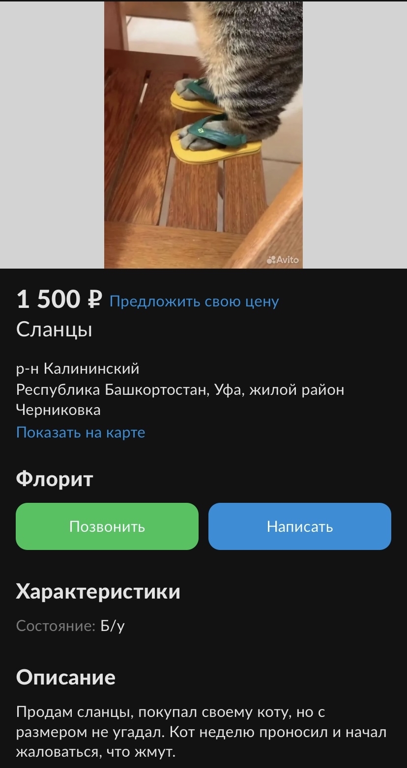 Кошачьи подкрадули надо? | Пикабу