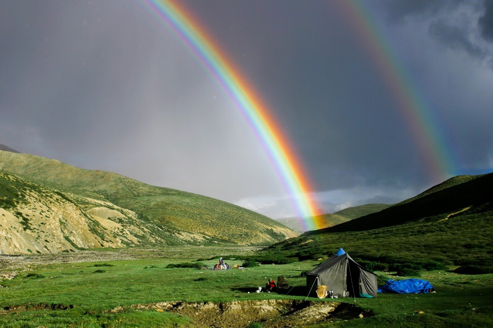 Rainbow | Пикабу