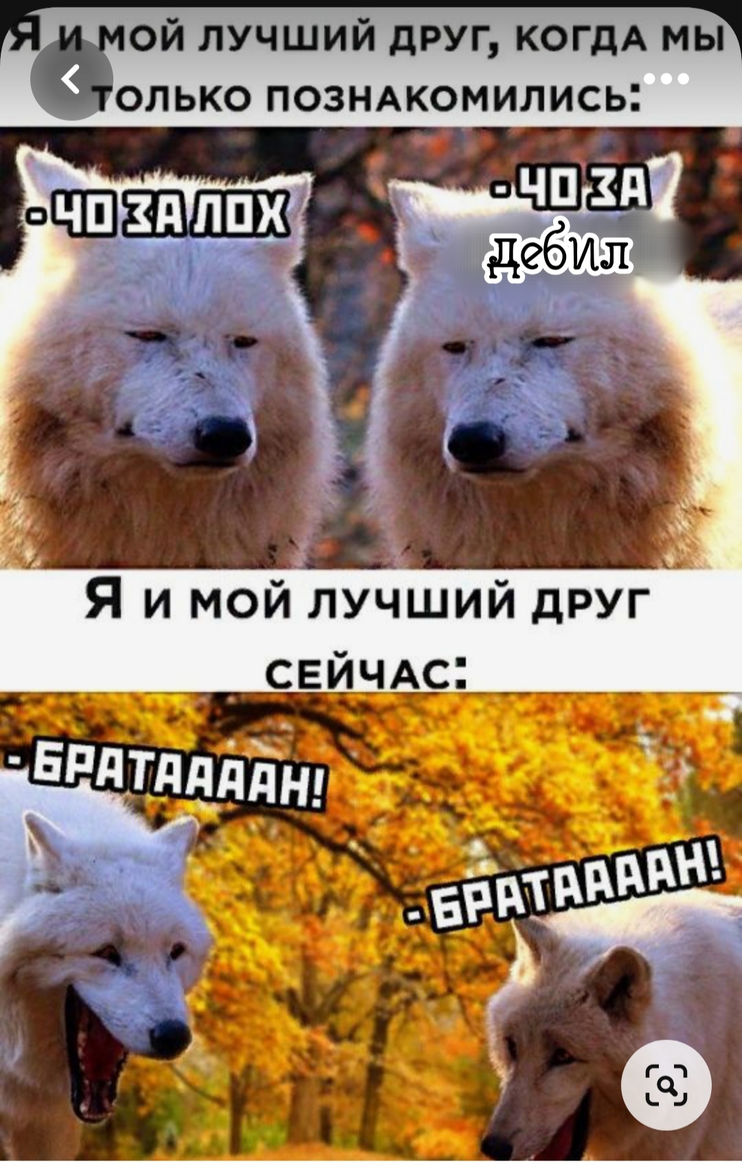Мемы | Пикабу