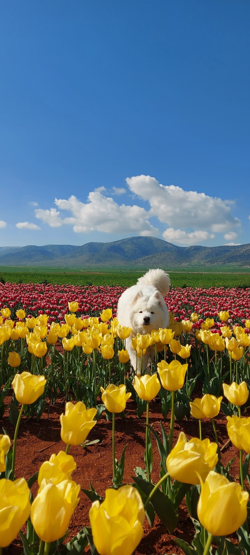 Турция, Караман | Пикабу