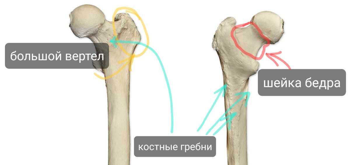 Лечение воспаления тазобедренного сустава