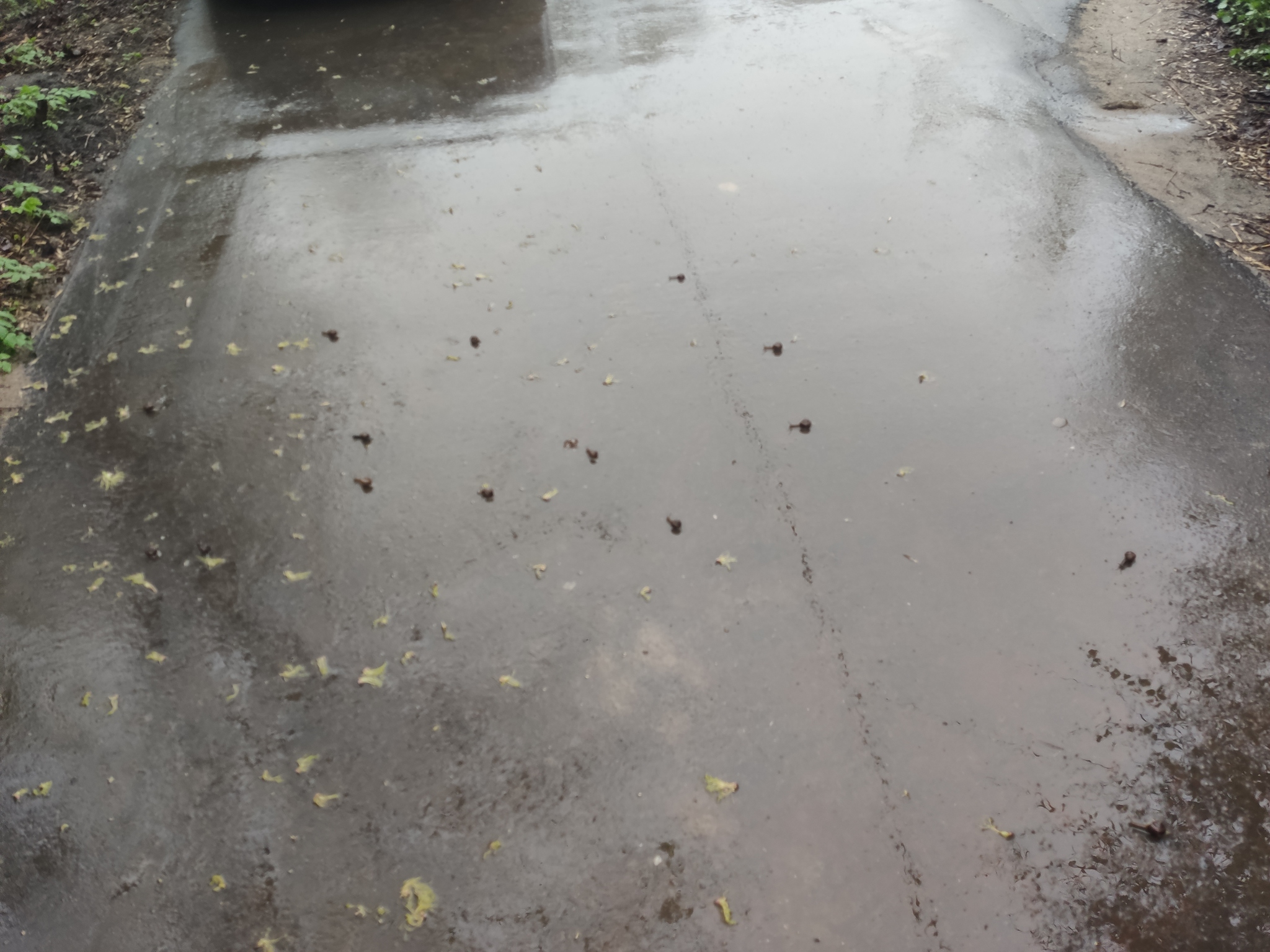 Тууусоовкааа... | Пикабу