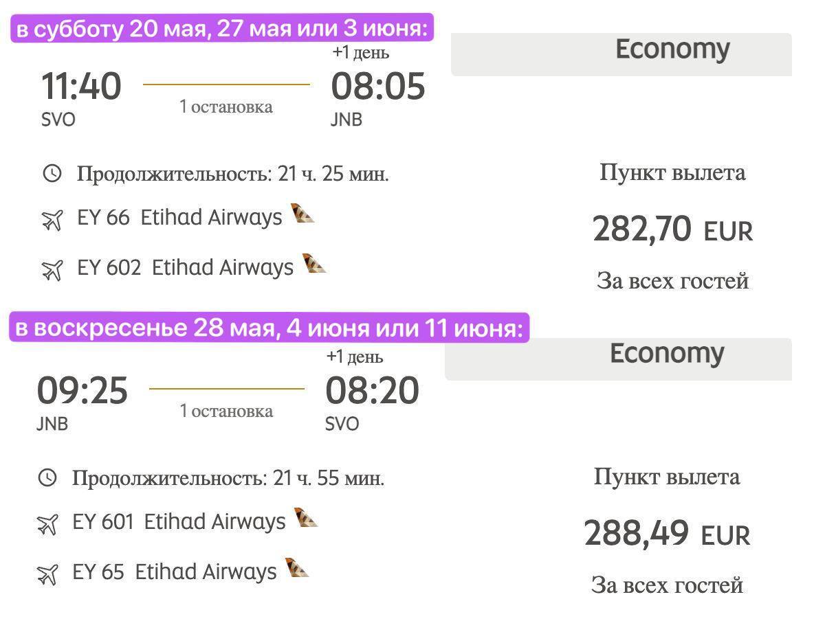 Идея на День России. Полететь к пингвинам в ЮАР с пересадкой в Эмиратах.  Рассказываю как это сделать | Пикабу