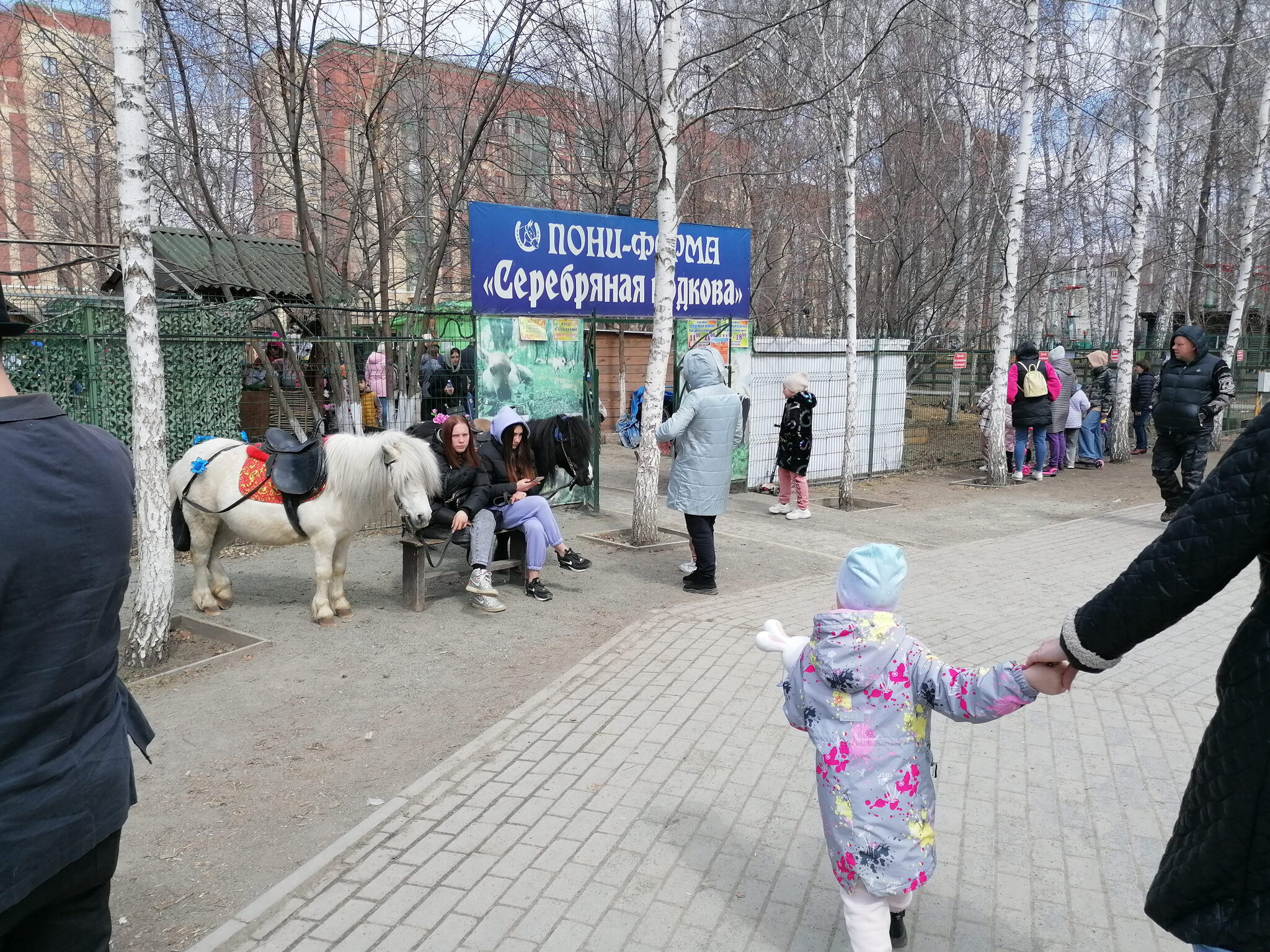 Пони-ферма 