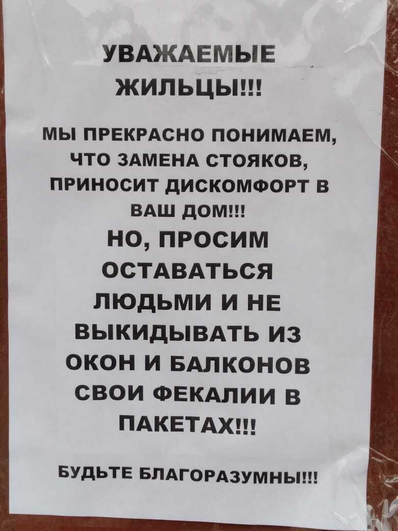 У вас есть туалет? - Нет, мы срём в окно! | Пикабу